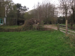 Roosloot, Bergen (naar Fransman)